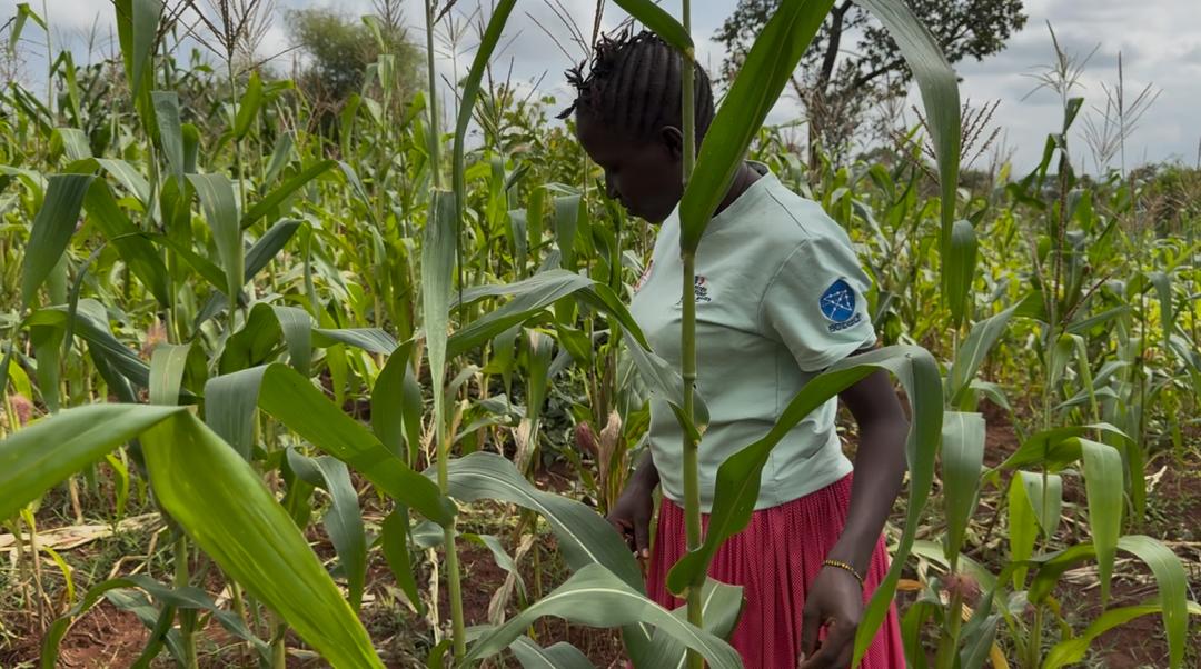 French-Funded Agricultural Initiative Transforms Lives in Karamoja