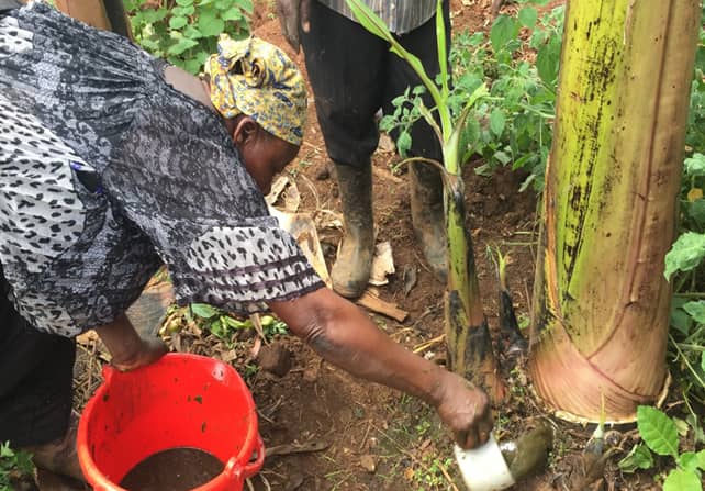 Experts Urge Uganda to Phase Out Toxic Pesticides, Embrace Agroecology for Safer Farming
