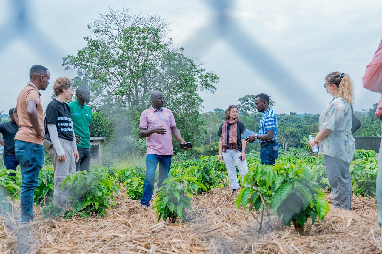 New German-Ugandan Partnership to Boost Coffee Exports to EU