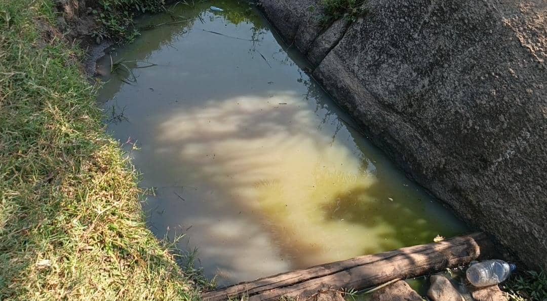 Global Report Warns Billions Still Without Safe Water and Sanitation