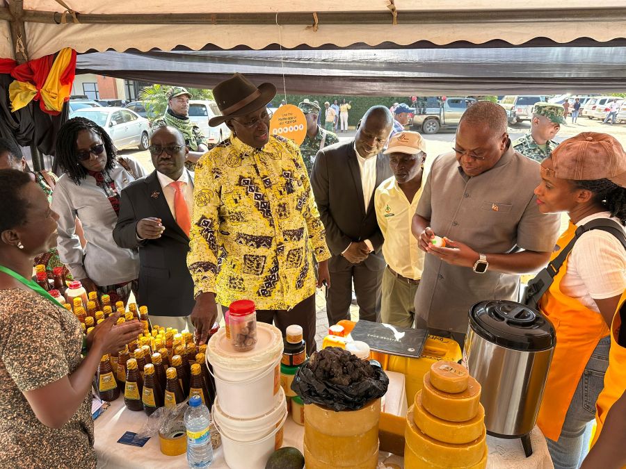 Beekeepers Urge Government to Ban Honey Imports