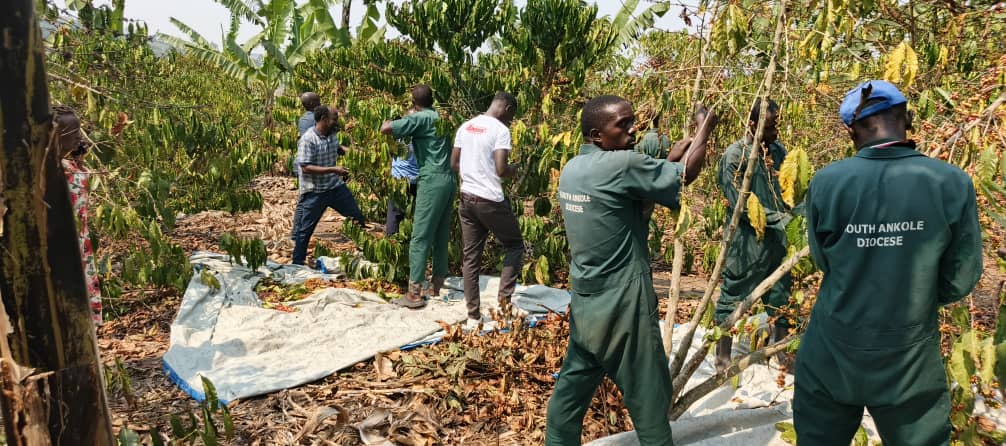 Journalists Step Into the Fields to Unearth Uganda’s Coffee Impact