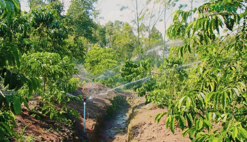Government Commends Irrigation Partners for Boosting Farmers’ Incomes Under National Micro-Scale Programme