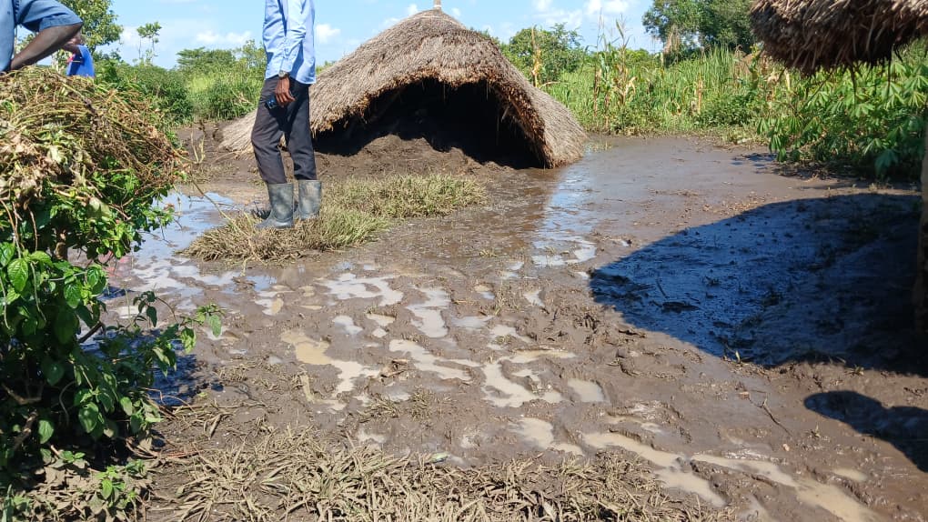 Floods Devastate Livelihoods and Infrastructure in Alebtong District