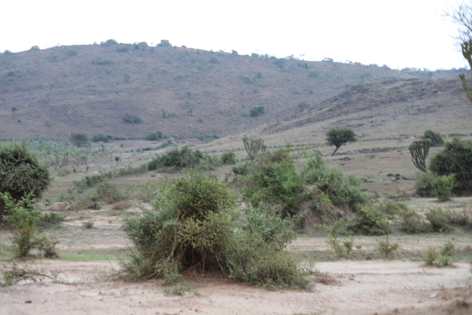 Isingiro Hills Stand Naked, Exposing Uganda’s Refugee–Environment Crunch
