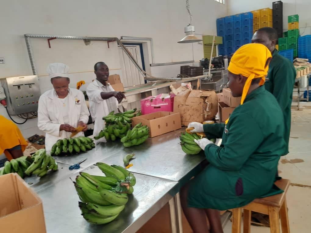 Museveni Urges Exporters to Adhere to International Standards