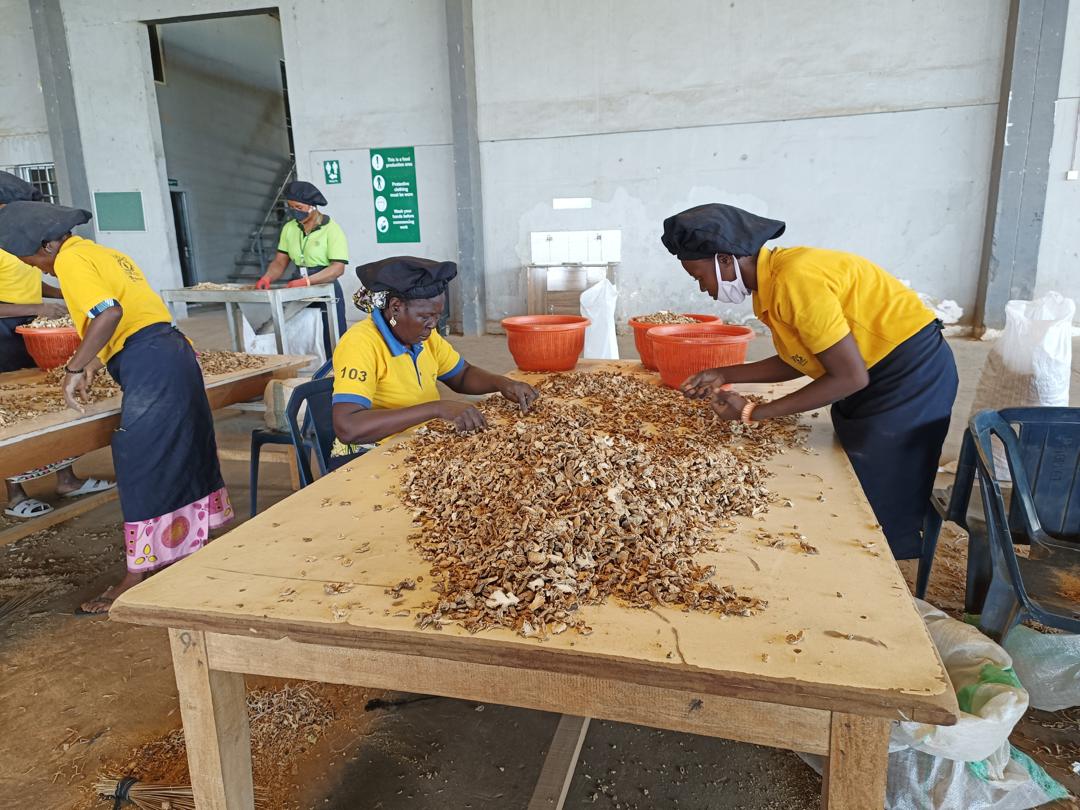Aavishkaar Capital Invests $5M in Horizon Group to Boost African Spice Exports