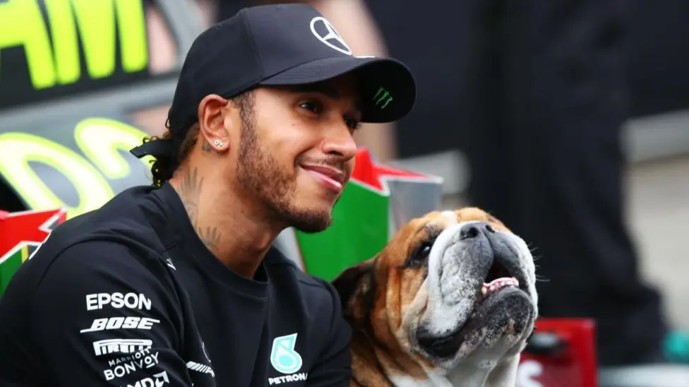 Hamilton pays tribute after his dog Roscoe dies