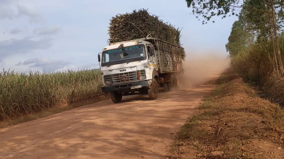 Sugarcane Transporters Look to the Skies as Corporate Firms Take Over Contracts