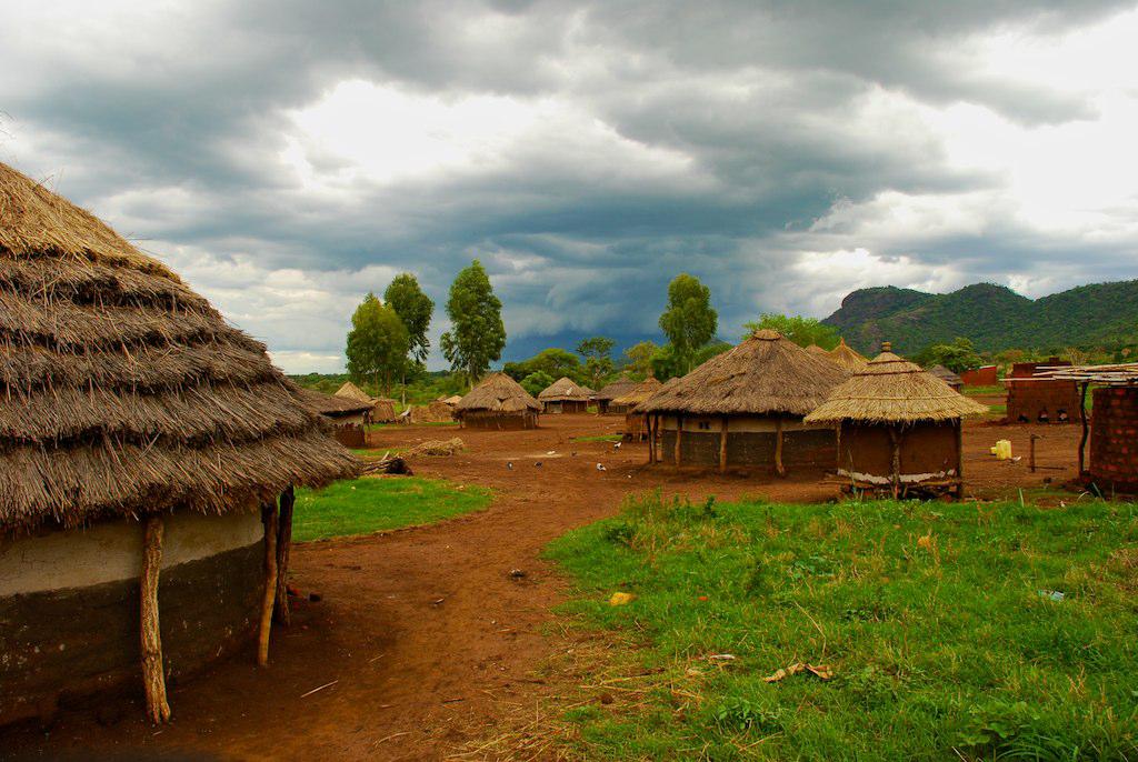 Cattle Compensation, Poverty and Promises: What Northern Uganda’s Voters Now Demand