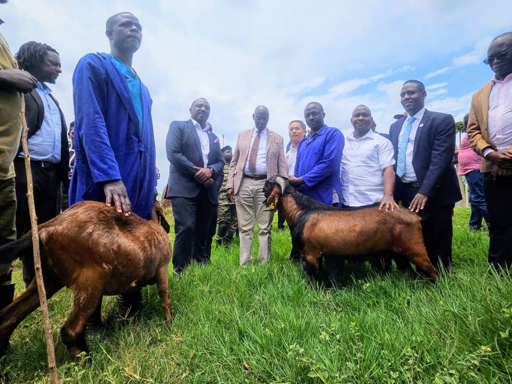 Uganda Introduces Jianzhou Big Ear Goats for Breeding, Agro-Industrialisation