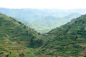 Teachers' Strike, Difficult Terrain Stall 2025 Education Census in Kigezi Sub-Region