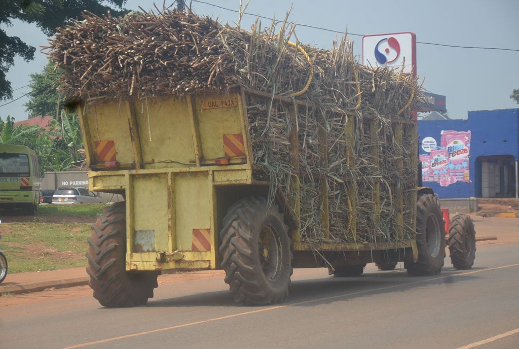 Government Sets Shs125,000 Minimum Sugarcane Price