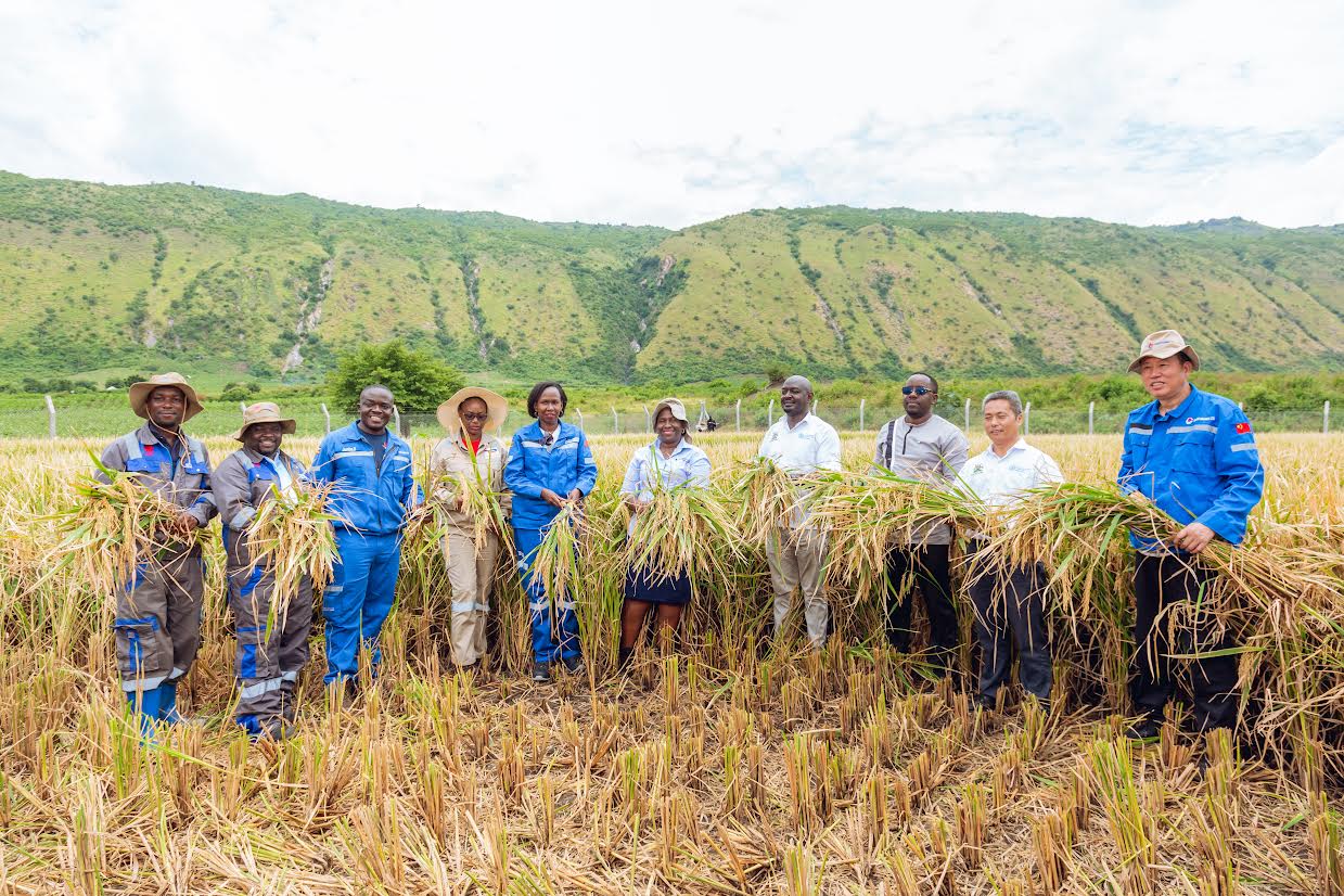 CNOOC Uganda Celebrates First Rice Harvest Under Livelihood Restoration Program in Kikuube