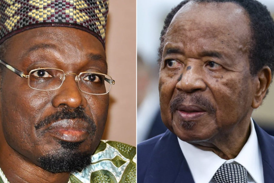 Cameroon opposition candidate Tchiroma claims victory in presidential election