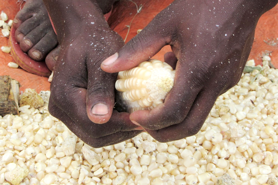 Mityana Women Maize Farmers Seek Govt Protection for Savings
