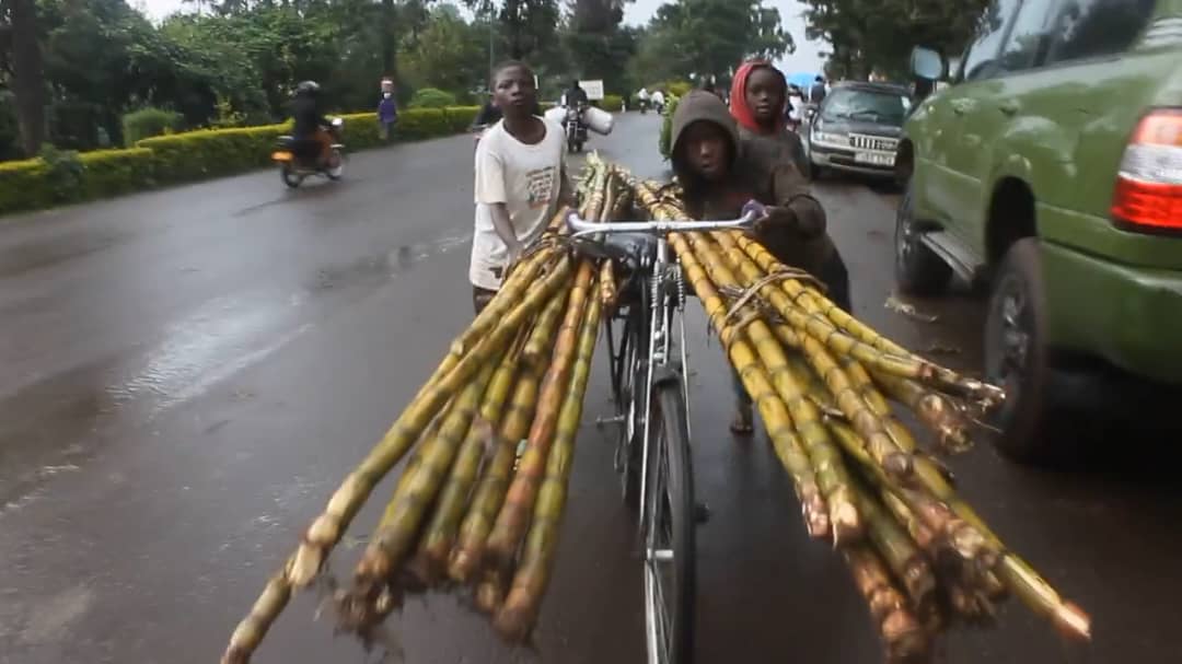 Teachers Strike Bites Hard as Kabale and Kisoro Learners Turn to Chapati Baking, Sugarcane Vending