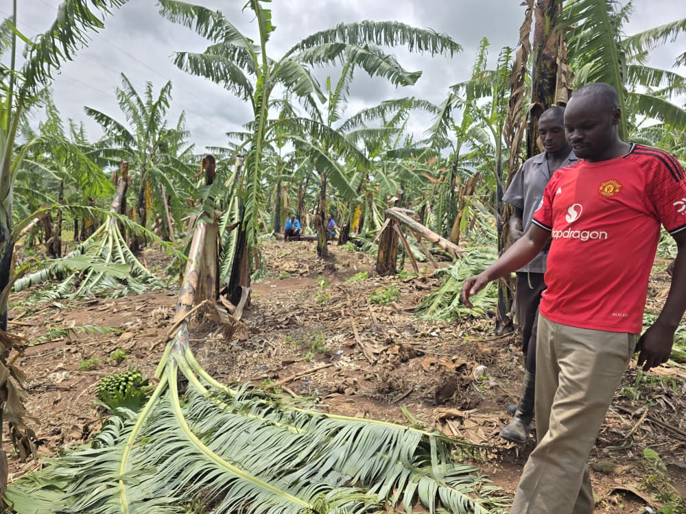 Storm Devastates Ruhaama East, Leaving Families in Despair