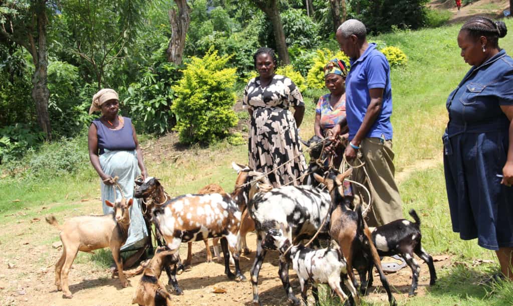 Elderly and Persons with Disabilities Thrive Under Govt Grants in Rwenzori Region