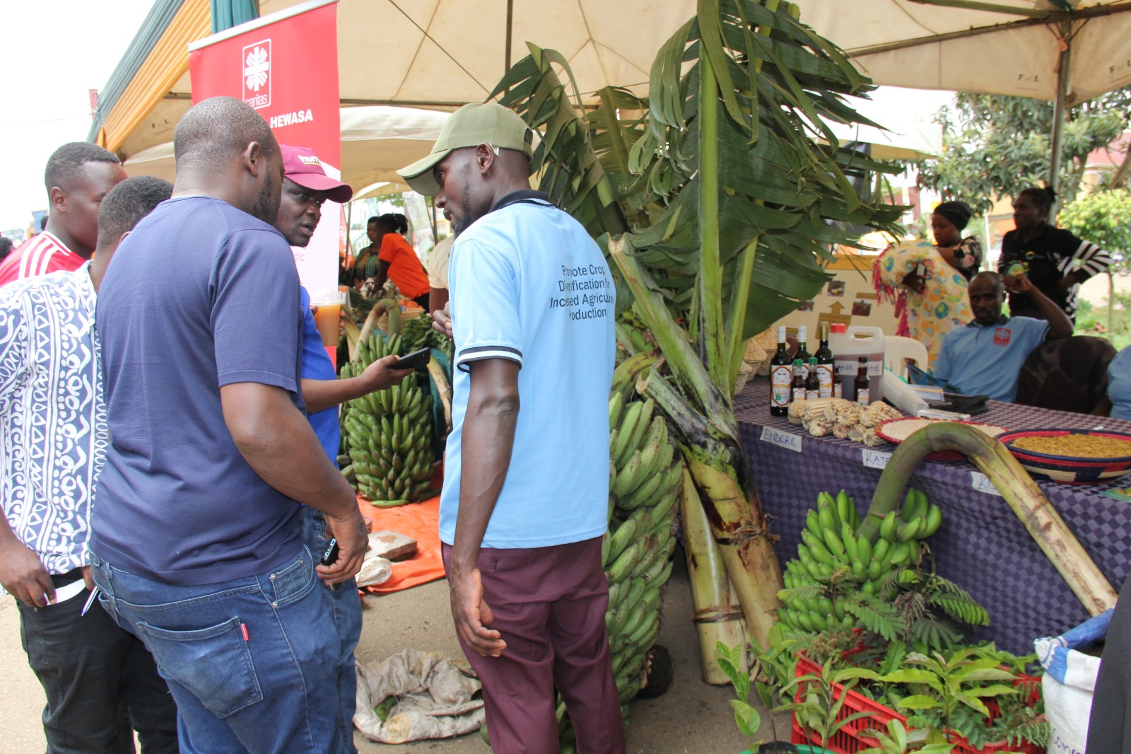 Rwenzori Indigenous Seed Fair Champions Local Crops in Fight Against Malnutrition and Food Insecurity