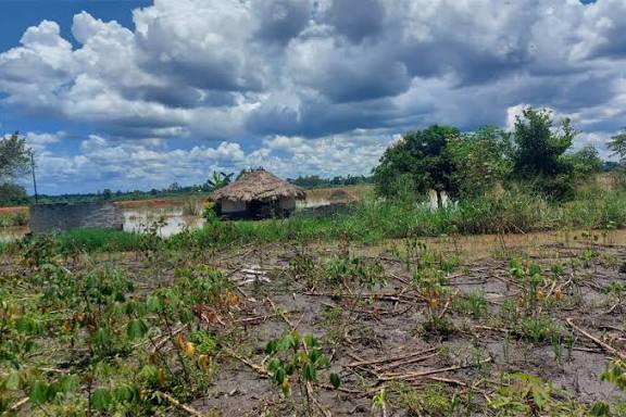 Uganda, Sweden Reaffirm Strong Partnership in Development, Education, and Climate Action