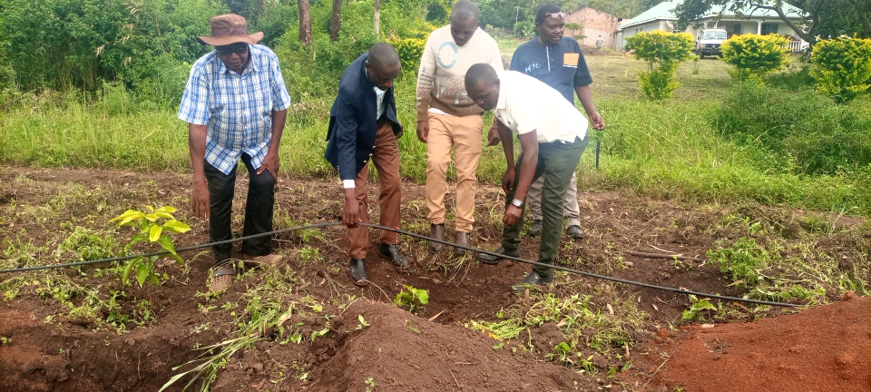 Hoima Farmers Adopt Microscale Irrigation to Boost Agricultural Productivity