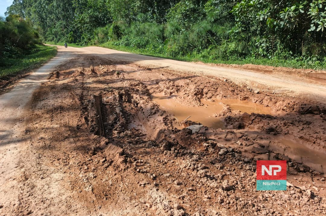 Residents Plead for Action as Ibanda–Kitagwenda Road Deteriorates
