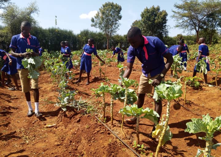 Karamoja School Feeding Program Boosts Education, Empowers Local Farmers
