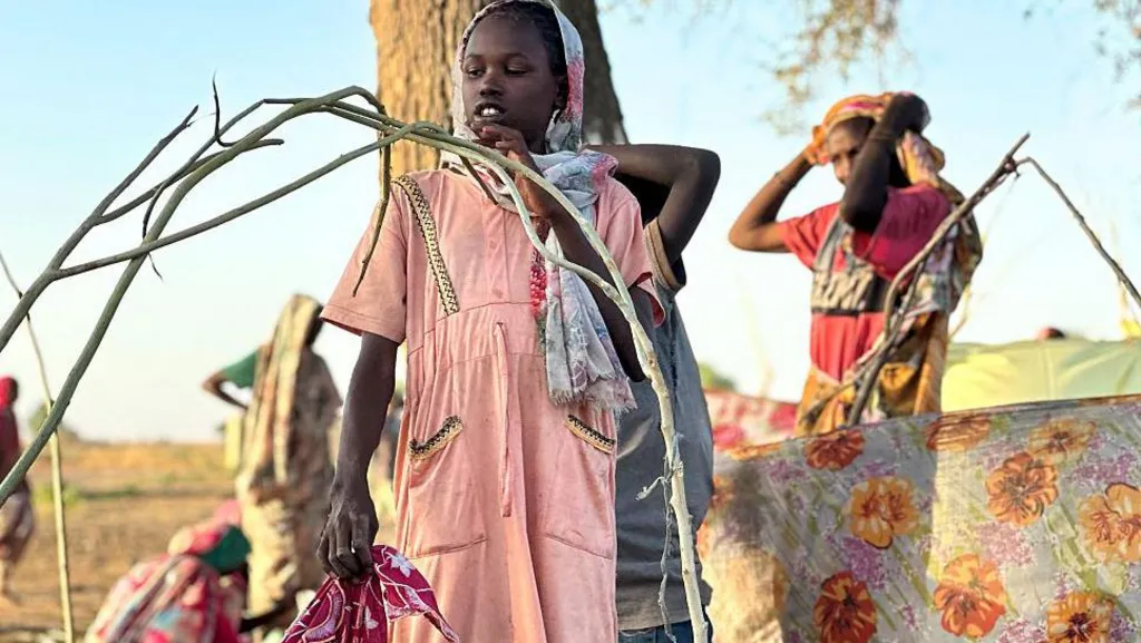 More than 60,000 flee Sudanese city after its capture by RSF militia - UN