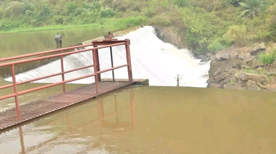 JESE Restores River Mpanga Buffer Zones, Boosting Hydropower and Livelihoods