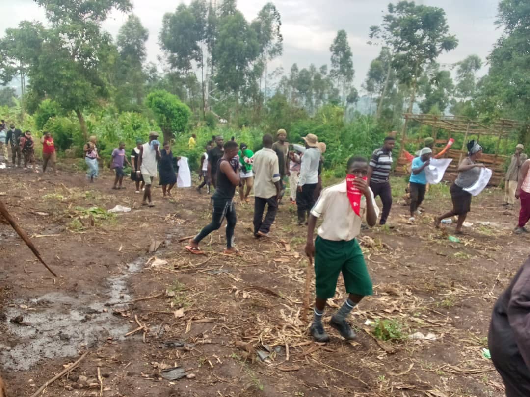 Residents Protest as Dead Pigs Cause Foul Stench in Mwererwe Village