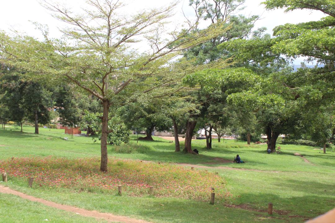 Independence Park in Mbarara Becomes Hub for Youth Entrepreneurship Amid Unemployment Challenges