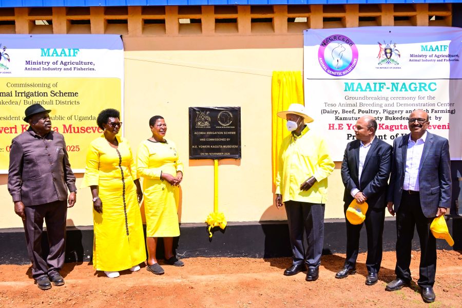 Museveni Urges on Safe Rice Growing as he Commissions Shs71Bn Achomai Irrigation Scheme in Bukedea