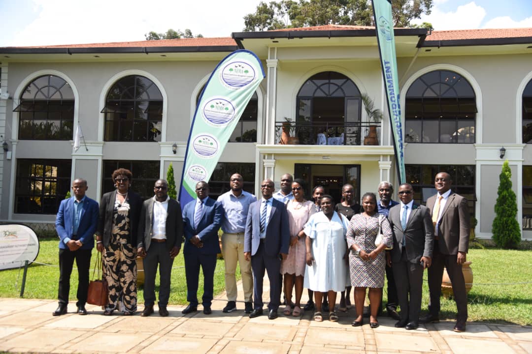 NEMA urges Ugandans to plant trees and protect the environment