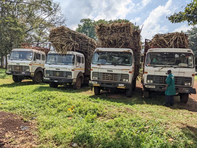 Sugarcane Farmers Revive National Association to Strengthen Unity and Bargaining Power