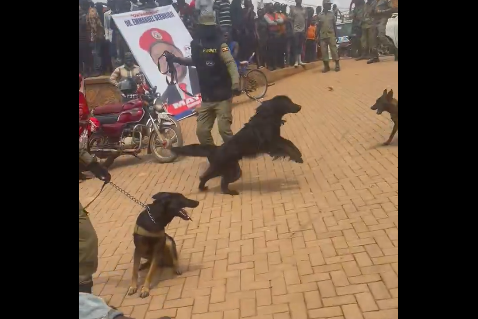 Parliament Condemns Electoral Violence, Accuse Security Agencies of Targeting Opposition Supporters