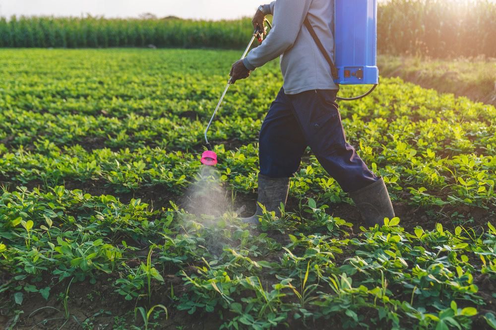 Experts:Hazardous Pesticides Threaten Ugandan Farms, Food Safety, and Public Health