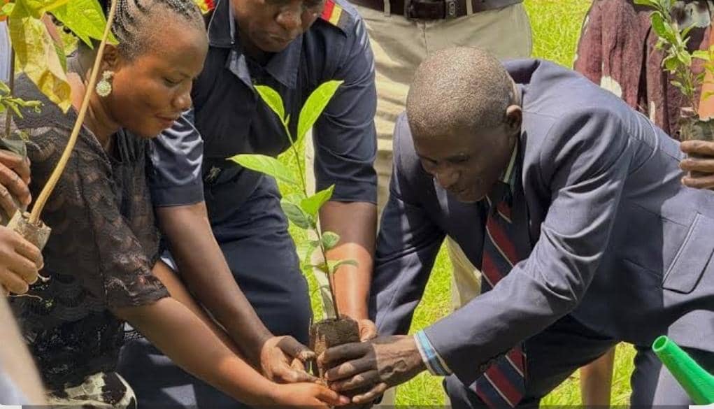 Experts Call for Stronger Action to Curb Environmental Degradation