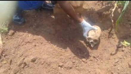 Bukomansimbi Police Recover Human Skull in Breakthrough Ritual Murder Probe