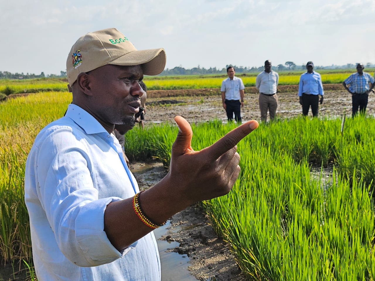 Uganda Nears Breakthrough with Locally Developed Aromatic Rice Varieties