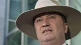 Former Australian deputy PM joins anti-immigration party One Nation