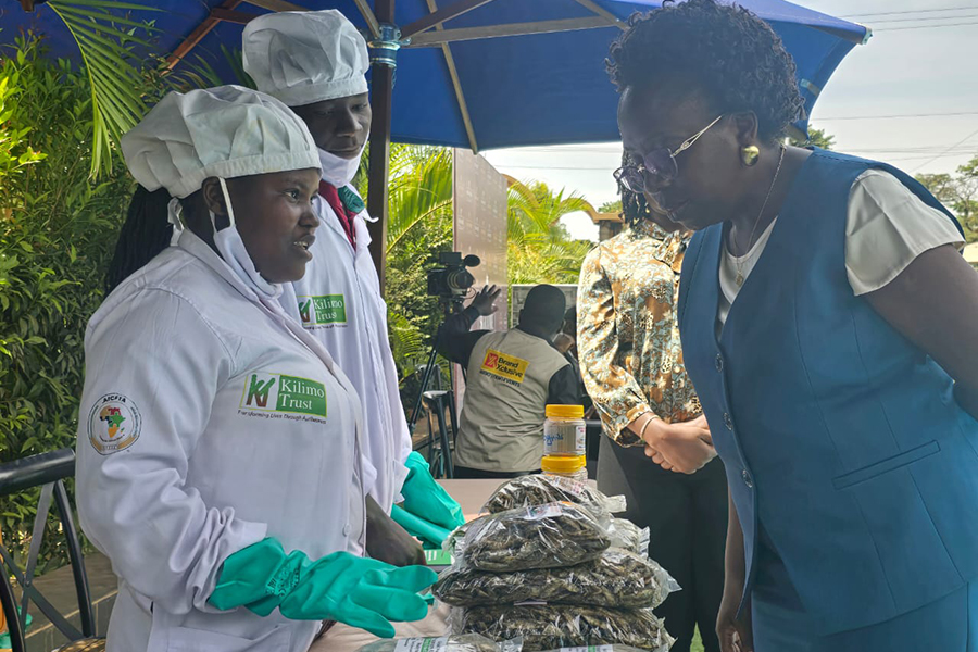 Women and Youth Call for Reforms to Ease Cross-Border Fish Trade