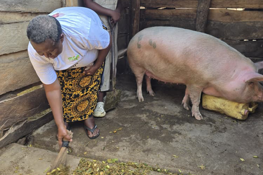 Jolly Left Nursing for Pigs — and Found Financial Freedom