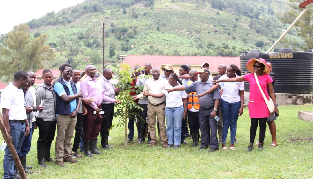 Ibanda Registers Early Gains in Government-Led Forest Restoration Drive