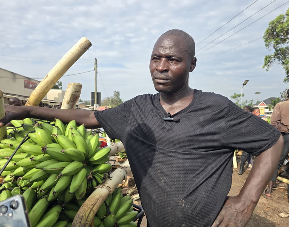 Matooke Traders Count Losses as Matooke Prices Plunge in Ntungamo