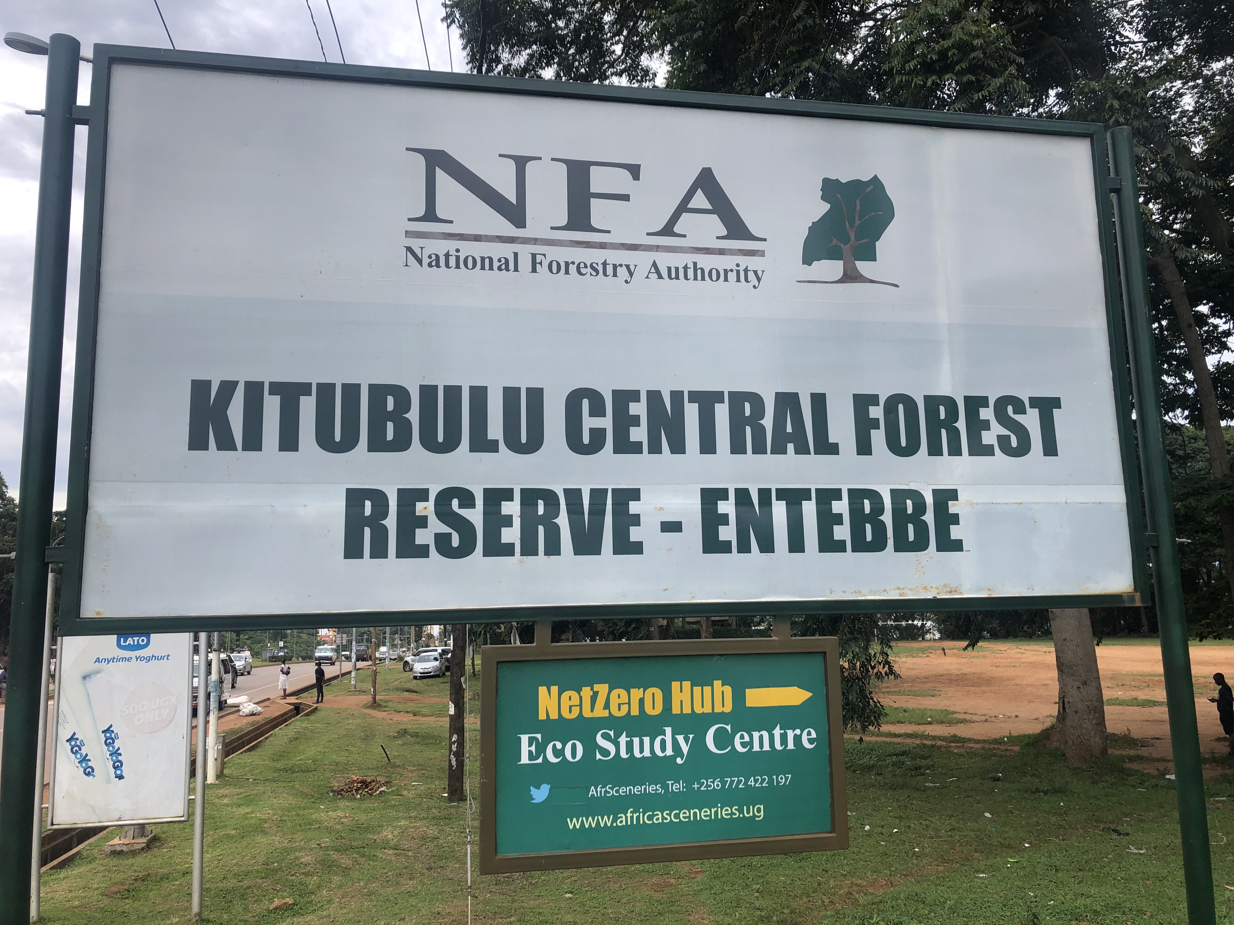 Museveni Orders Cancellation of All Titles in Kitubulu Central Forest Reserve