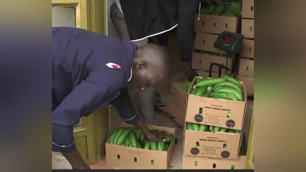 Uganda’s Trade Deficit Narrows by Over 70% as Export Earnings Surge