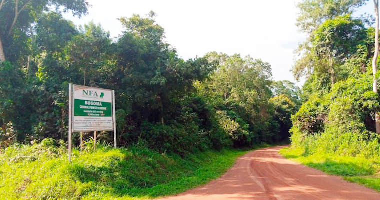Nabakooba Gives NFA One Week to Install Bugoma Forest Pillars