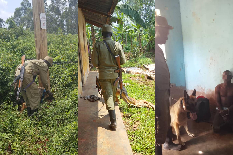 Mukono Police Arrest Two Over Vandalism of Electricity Infrastructure