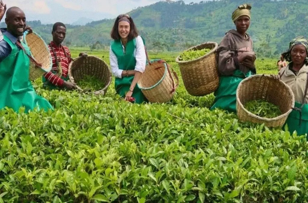 Uganda to Host National Agritourism Symposium as Sector Gains Momentum